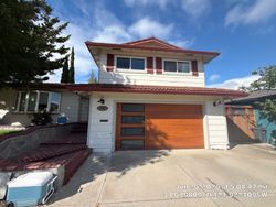 Pleasanton garage door project photo 4
