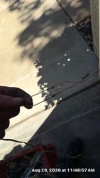 Rusty, uncapped wire.