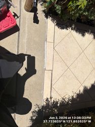 Old tile lifting from the cement.
