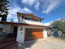 Pleasanton garage door project photo 5
