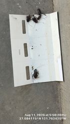 Livermore garage door project photo 21