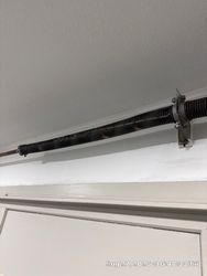 Fremont garage door project photo 12