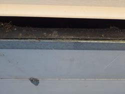 Hold bottom seal. We're also replaying replacing the, retainer and the bottom seal.
