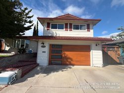 Pleasanton garage door project photo 3