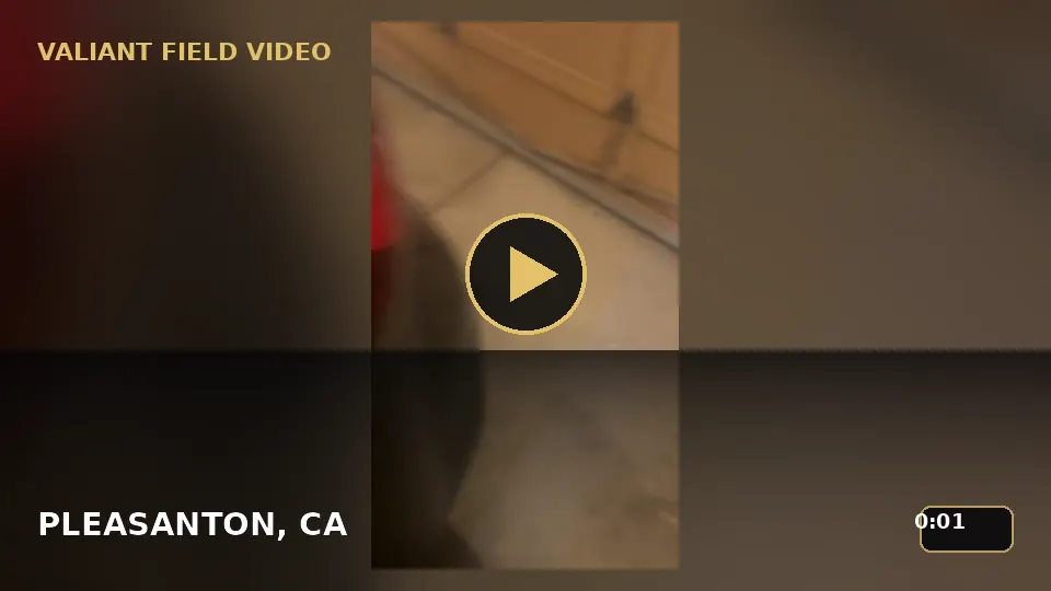Garage Door Temporary Repair Inspection in Pleasanton, CA video poster