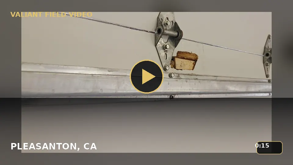 Garage Door Panel Finish Inspection in Pleasanton, CA video poster