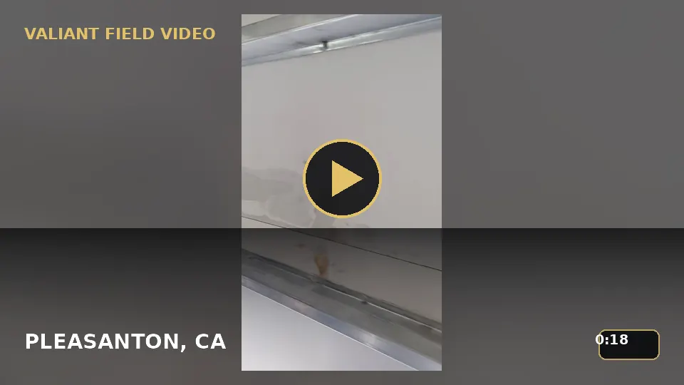 Garage Door Panel Surface Inspection in Pleasanton, CA video poster