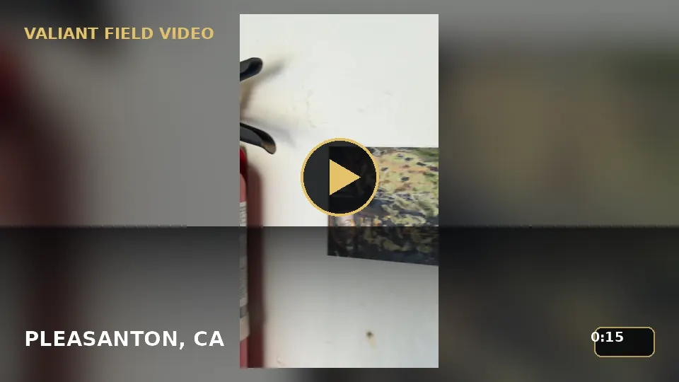 Bottom Seal and Door Inspection in Pleasanton, CA video poster