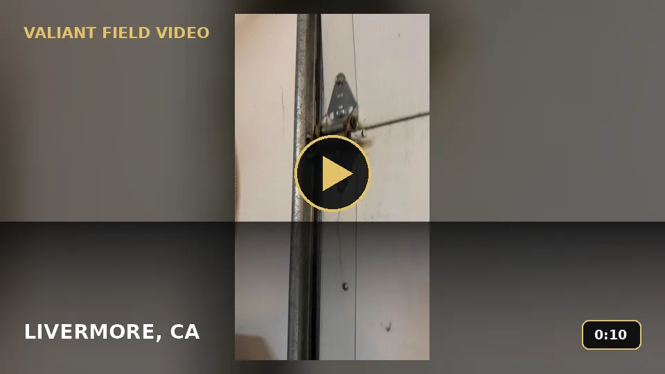 Garage Door Hinge and Roller Inspection in Livermore, CA video poster