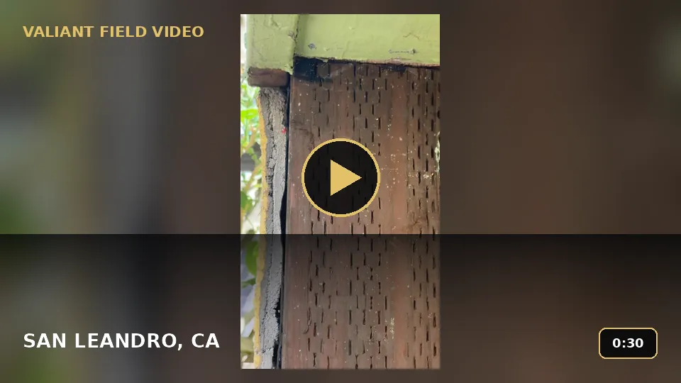 Garage Door Frame Repair in San Leandro: Wood Damage Close-Up video poster